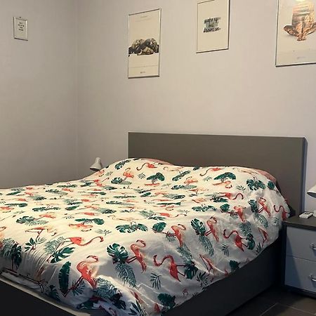 Ruime Studio In Deurne アントウェルペン エクステリア 写真