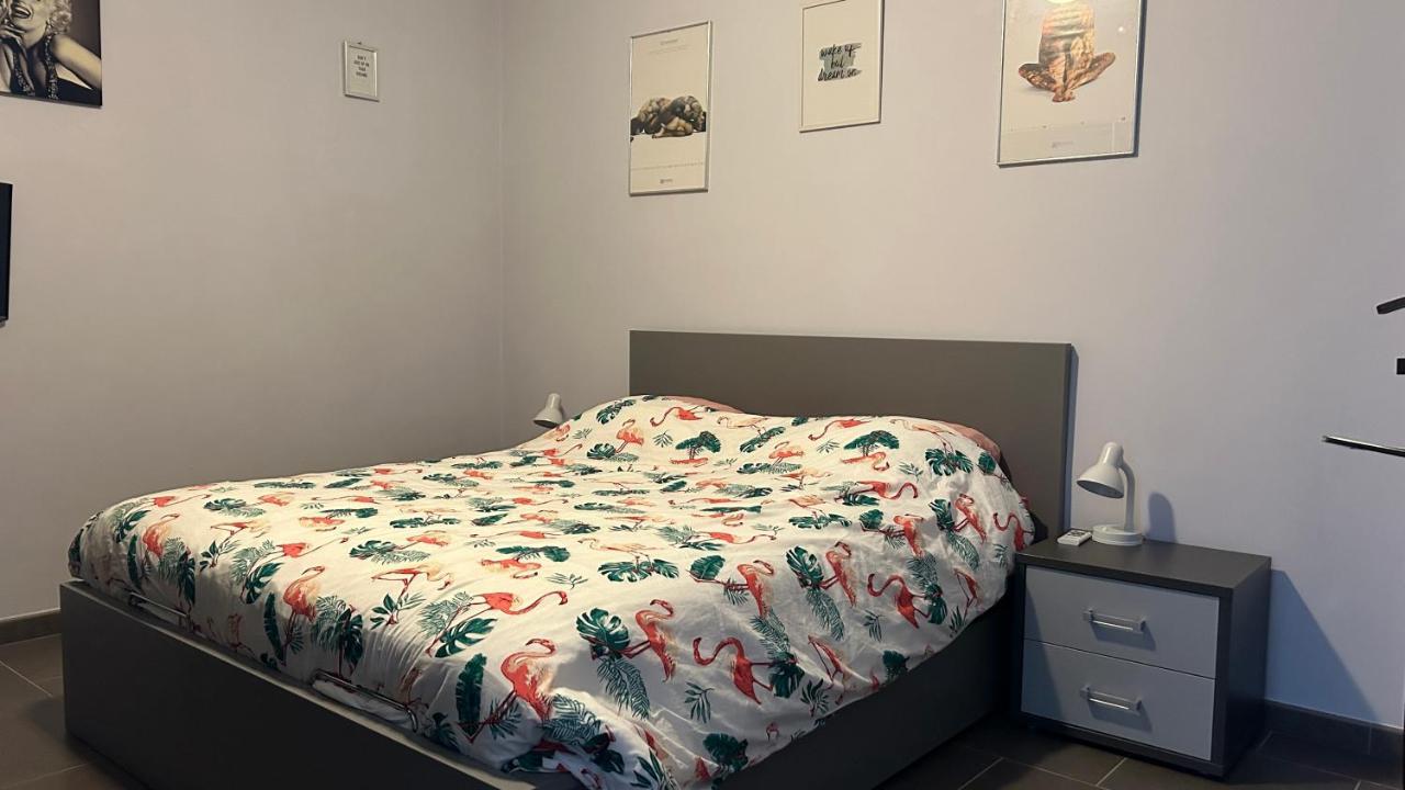 Ruime Studio In Deurne アントウェルペン エクステリア 写真